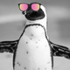 Image for article titled It's Straight Up Balmy in Antarctica